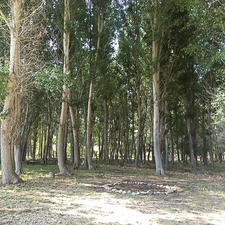 Cabana Ecologica Uspallata Dış mekan fotoğraf